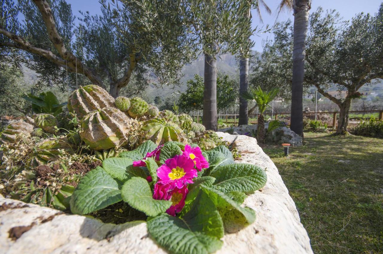 Cascina Degli Ulivi Bed and Breakfast Castelluzzo Εξωτερικό φωτογραφία
