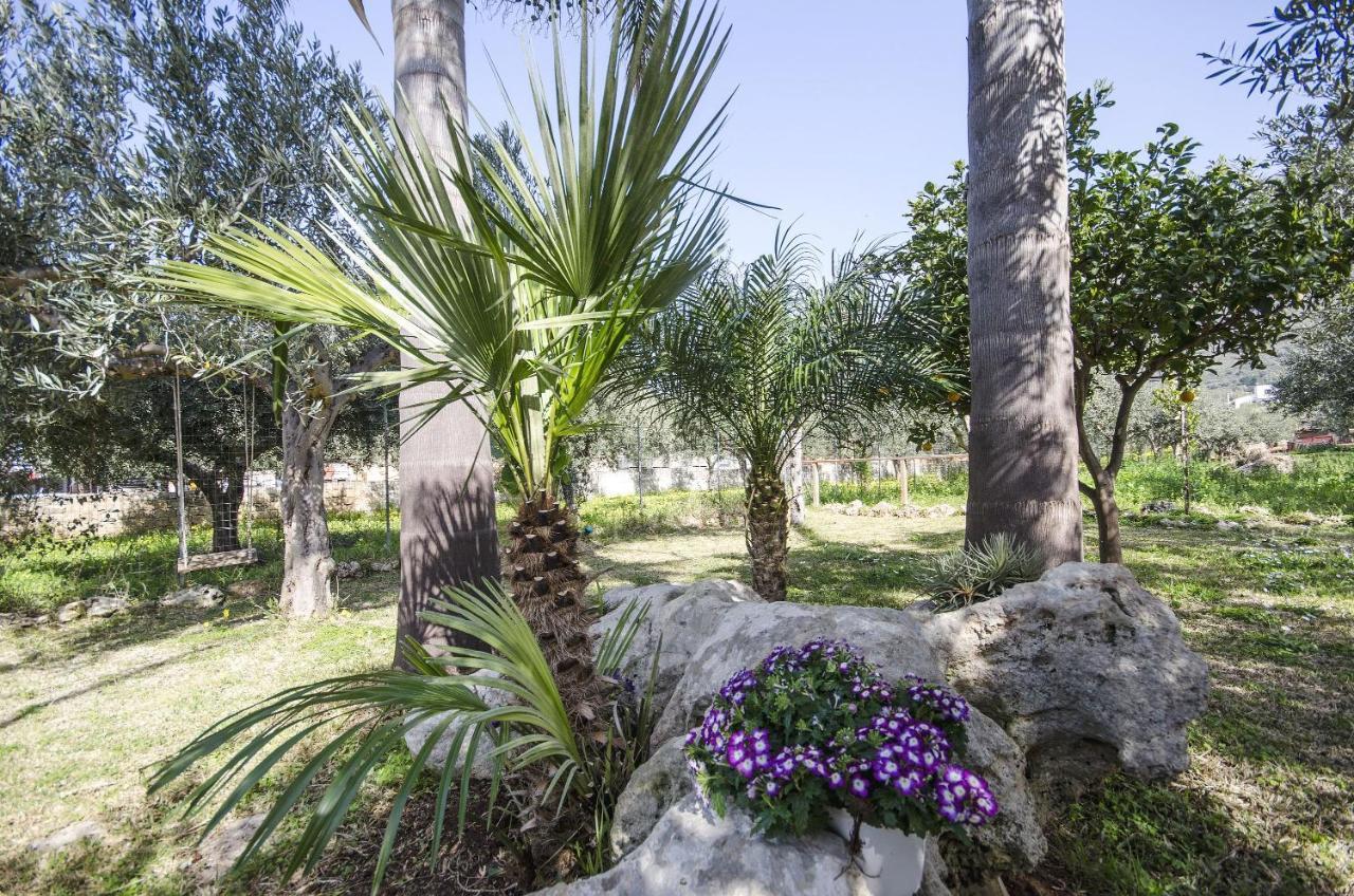 Cascina Degli Ulivi Bed and Breakfast Castelluzzo Εξωτερικό φωτογραφία